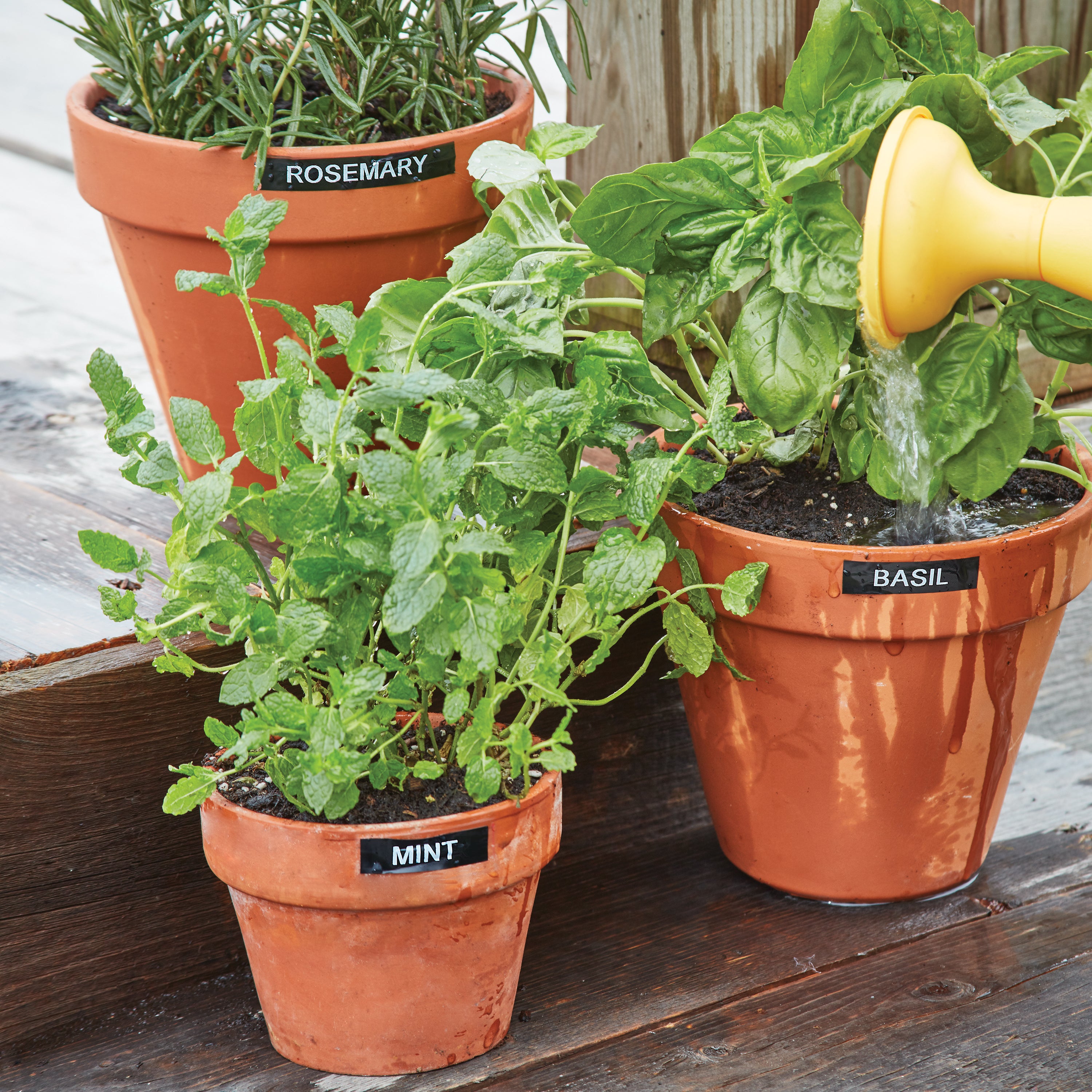 Potted herbs and garden containers identified with durable labels