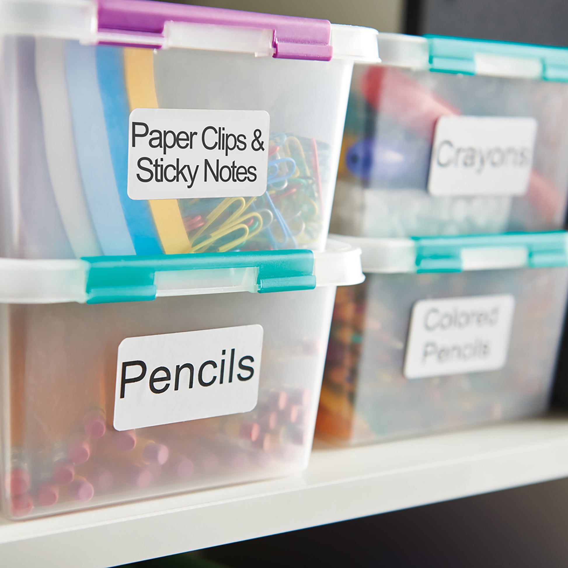 Retail shelf display with assorted Dymo label tape packs