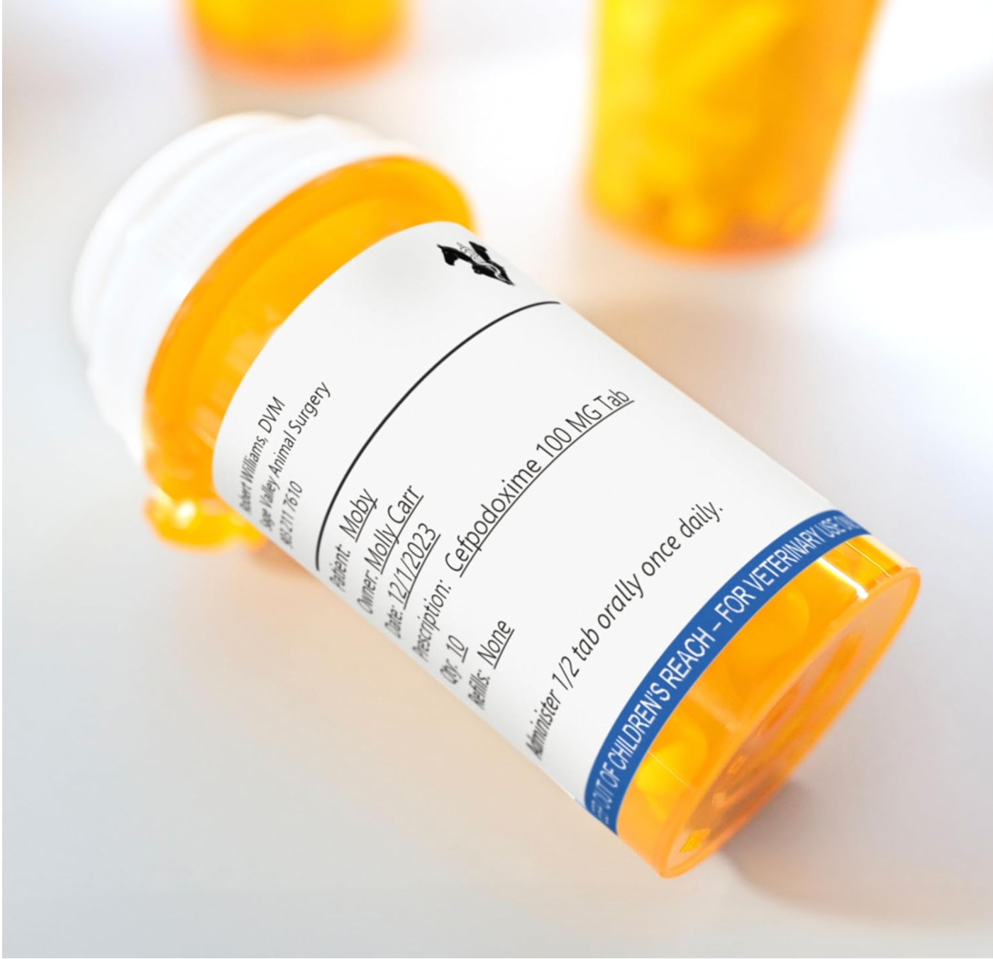 A close-up of a prescription bottle with a Dymo veterinary label, highlighting concise medication information and safety instructions for pet care.