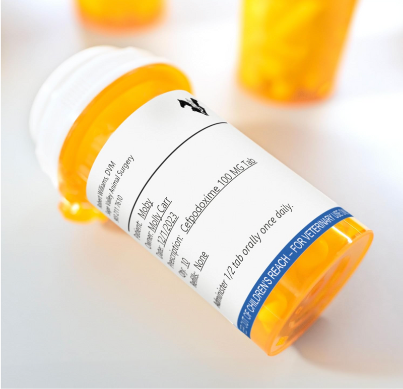A close-up of a prescription bottle with a Dymo veterinary label, highlighting concise medication information and safety instructions for pet care.