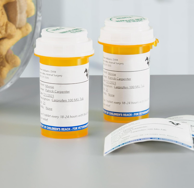 Two orange prescription bottles adorned with Dymo veterinary labels, neatly displaying patient and medication details for easy readability.
